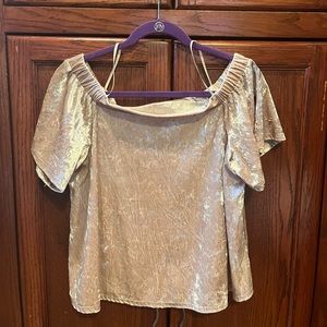Off Shoulder Champagne Velvet Top